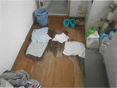 岩手県九戸郡軽米町 戸建て 73万円の競売物件情報 #9