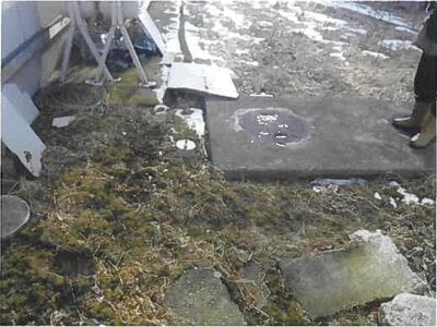 岩手県九戸郡洋野町 陸中中野駅11分 戸建て 122万円の競売物件情報 #5