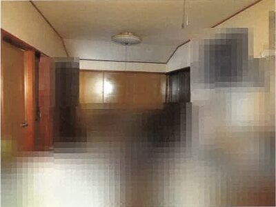 (値下げ) 高知県南国市 住吉通駅8分 戸建て 167万円の競売物件情報 #24