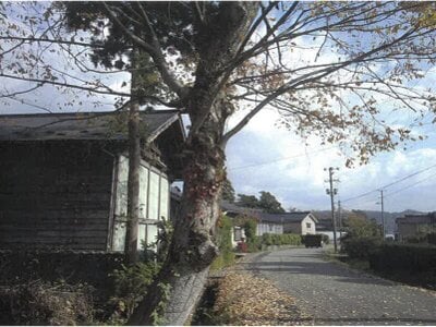 山形県酒田市 砂越駅 戸建て 114万円の競売物件情報 #3