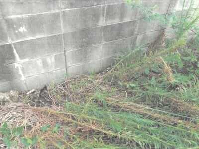 (値下げ) 愛知県名古屋市中川区 伏屋駅24分 土地 755万円の競売物件情報 #13