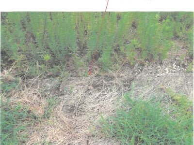 (値下げ) 愛知県名古屋市中川区 伏屋駅24分 土地 755万円の競売物件情報 #15
