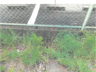 (値下げ) 愛知県名古屋市中川区 伏屋駅24分 土地 755万円の競売物件情報 #16