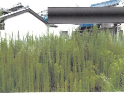 (値下げ) 愛知県名古屋市中川区 伏屋駅24分 土地 755万円の競売物件情報 #2