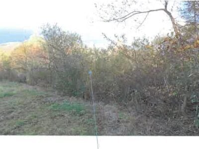(値下げ) 福島県耶麻郡北塩原村 農地 38万円の競売物件情報 #10