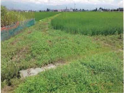 (値下げ) 長野県安曇野市 一日市場駅25分 農地 84万円の競売物件情報 #10
