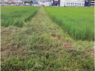 (値下げ) 長野県安曇野市 一日市場駅25分 農地 84万円の競売物件情報 #4