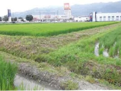 (値下げ) 長野県安曇野市 一日市場駅25分 農地 84万円の競売物件情報 #6