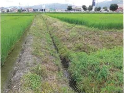 (値下げ) 長野県安曇野市 一日市場駅25分 農地 84万円の競売物件情報 #7