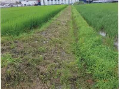 (値下げ) 長野県安曇野市 一日市場駅25分 農地 84万円の競売物件情報 #8