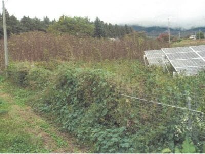 長野県小諸市 小諸駅 農地 51万円の競売物件情報 #5