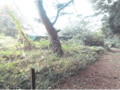 長野県小諸市 小諸駅 戸建て 213万円の競売物件情報 #22