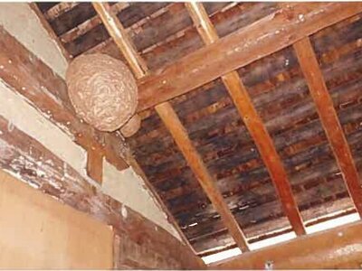 島根県邑智郡美郷町 戸建て 46万円の競売物件情報 #28