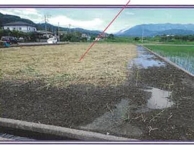 山梨県西八代郡市川三郷町 市川大門駅10分 農地 51万円の競売物件情報 #3