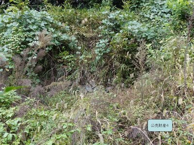 (値下げ) 岐阜県土岐市 土岐市駅26分 戸建て 311万円の国税庁公売物件情報 #4