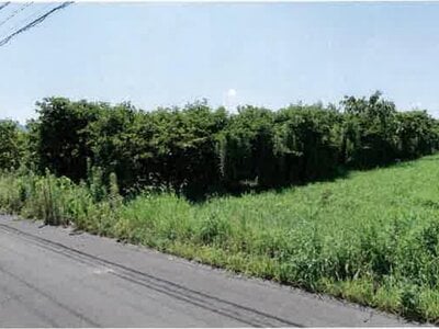 愛知県豊橋市 豊川駅 農地 104万円の競売物件情報 #4
