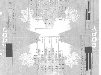 埼玉県三郷市 松戸駅29分 戸建て 924万円の競売物件情報 #19