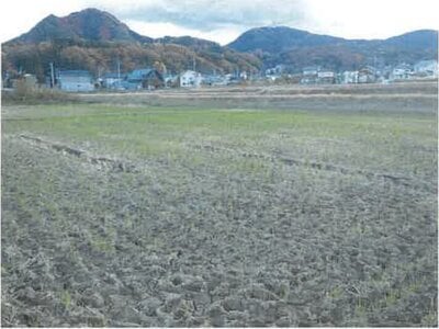 長野県上田市 別所温泉駅7分 農地 54万円の競売物件情報 #12