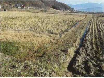 長野県上田市 別所温泉駅7分 農地 54万円の競売物件情報 #3