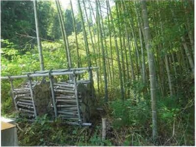 静岡県藤枝市 藤枝駅 農地 61万円の競売物件情報 #3