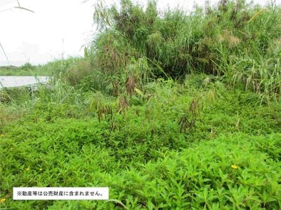 (値下げ) 沖縄県うるま市 土地 35万円の国税庁公売物件情報 #2