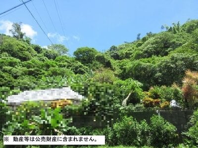 (値下げ) 沖縄県名護市 土地 89万円の国税庁公売物件情報 #2