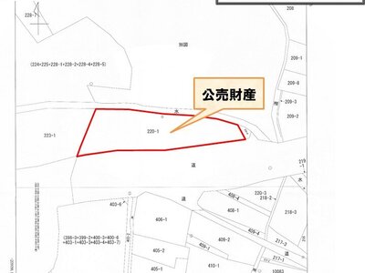 (値下げ) 山口県美祢市 厚保駅6分 土地 99万円の国税庁公売物件情報 #7