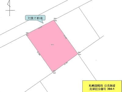 北海道石狩郡当別町 当別駅14分 土地 128万円の国税庁公売物件情報 #8