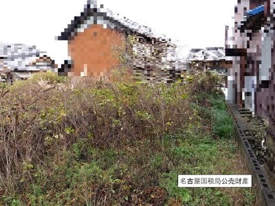 (値下げ) 岐阜県不破郡垂井町 垂井駅22分 土地 194万円の国税庁公売物件情報 #3