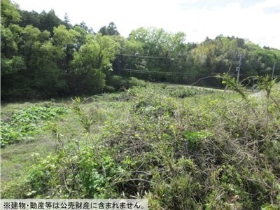 茨城県行方市 北浦湖畔駅 土地 223万円の国税庁公売物件情報 #2