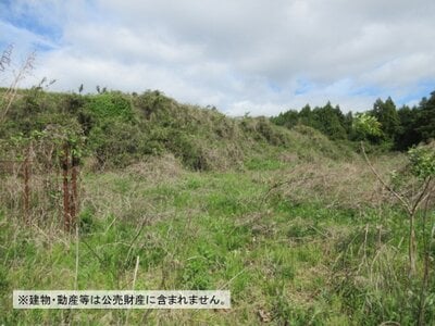 茨城県行方市 北浦湖畔駅 土地 223万円の国税庁公売物件情報 #4