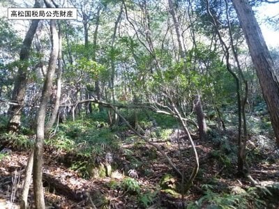 京都府京都市伏見区 石田駅27分 土地 569万円の国税庁公売物件情報 #2