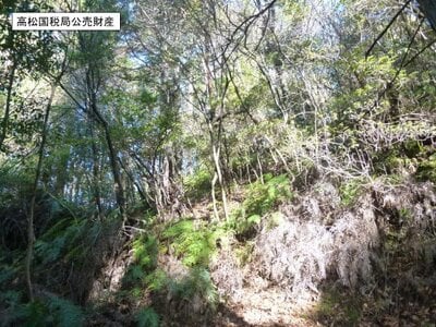 京都府京都市伏見区 石田駅27分 土地 569万円の国税庁公売物件情報 #3