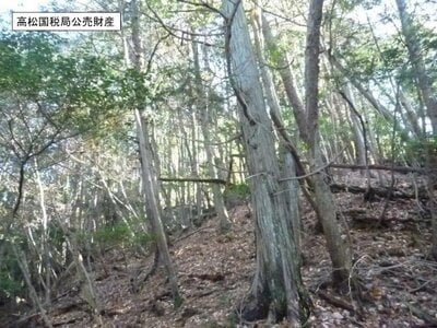 京都府京都市伏見区 石田駅27分 土地 569万円の国税庁公売物件情報 #4
