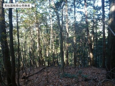 京都府京都市伏見区 石田駅27分 土地 569万円の国税庁公売物件情報 #5