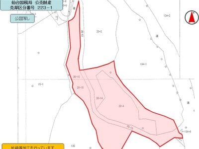 岩手県宮古市 一の渡駅19分 土地 177万円の国税庁公売物件情報 #11