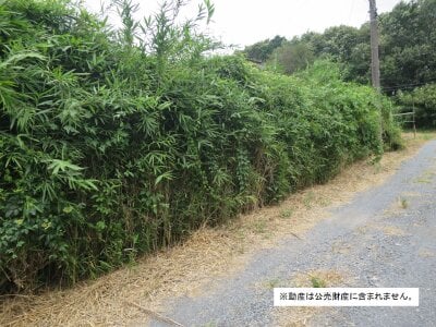 (値下げ) 茨城県古河市 下妻駅 土地 19万円の国税庁公売物件情報 #2