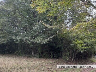 (値下げ) 栃木県日光市 明神駅23分 土地 36万円の国税庁公売物件情報 #2