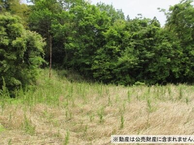 千葉県いすみ市 浪花駅 土地 60万円の国税庁公売物件情報 #2