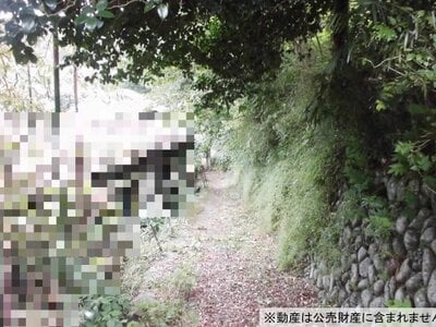 (値下げ) 神奈川県相模原市緑区 相模湖駅 土地 80万円の国税庁公売物件情報 #2