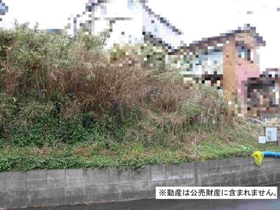 千葉県船橋市 馬込沢駅11分 土地 90万円の国税庁公売物件情報 #2