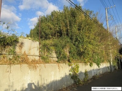 神奈川県横須賀市 三崎口駅 土地 100万円の国税庁公売物件情報 #2