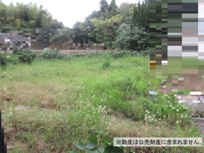 (値下げ) 千葉県野田市 梅郷駅 土地 340万円の国税庁公売物件情報 #2