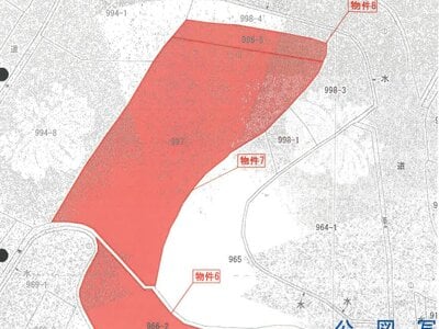 香川県綾歌郡綾川町 羽床駅23分 農地 64万円の競売物件情報 #11