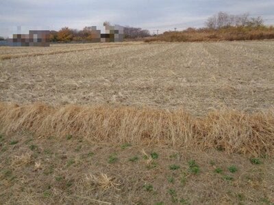 (値下げ) 埼玉県北葛飾郡杉戸町 東武動物公園駅29分 農地 13万円の国税庁公売物件情報 #2