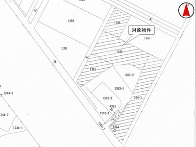 (値下げ) 埼玉県北葛飾郡杉戸町 東武動物公園駅29分 農地 27万円の国税庁公売物件情報 #3