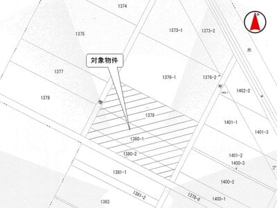(値下げ) 埼玉県北葛飾郡杉戸町 東武動物公園駅29分 農地 30万円の国税庁公売物件情報 #3