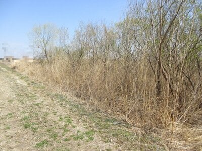 (値下げ) 埼玉県北葛飾郡杉戸町 東武動物公園駅29分 農地 33万円の国税庁公売物件情報 #2