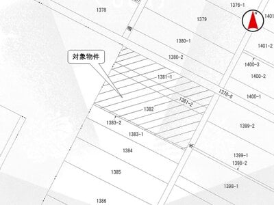 (値下げ) 埼玉県北葛飾郡杉戸町 東武動物公園駅29分 農地 33万円の国税庁公売物件情報 #3