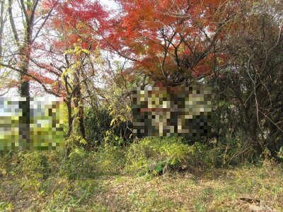 栃木県足利市 小俣駅17分 農地 51万円の国税庁公売物件情報 #2